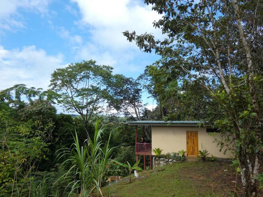 דירות Drakes Bay Tapiru'S House - Bahia Drake מראה חיצוני תמונה