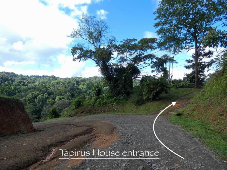 דירות Drakes Bay Tapiru'S House - Bahia Drake מראה חיצוני תמונה