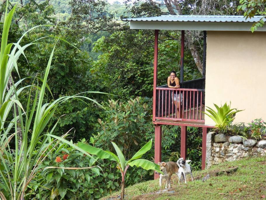 דירות Drakes Bay Tapiru'S House - Bahia Drake מראה חיצוני תמונה