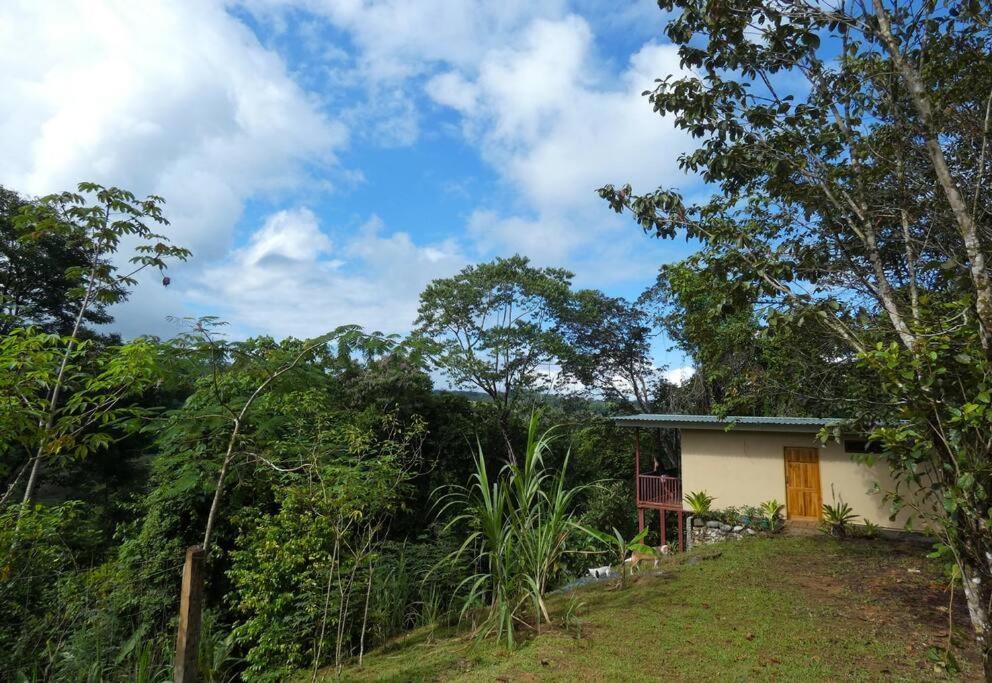 דירות Drakes Bay Tapiru'S House - Bahia Drake מראה חיצוני תמונה